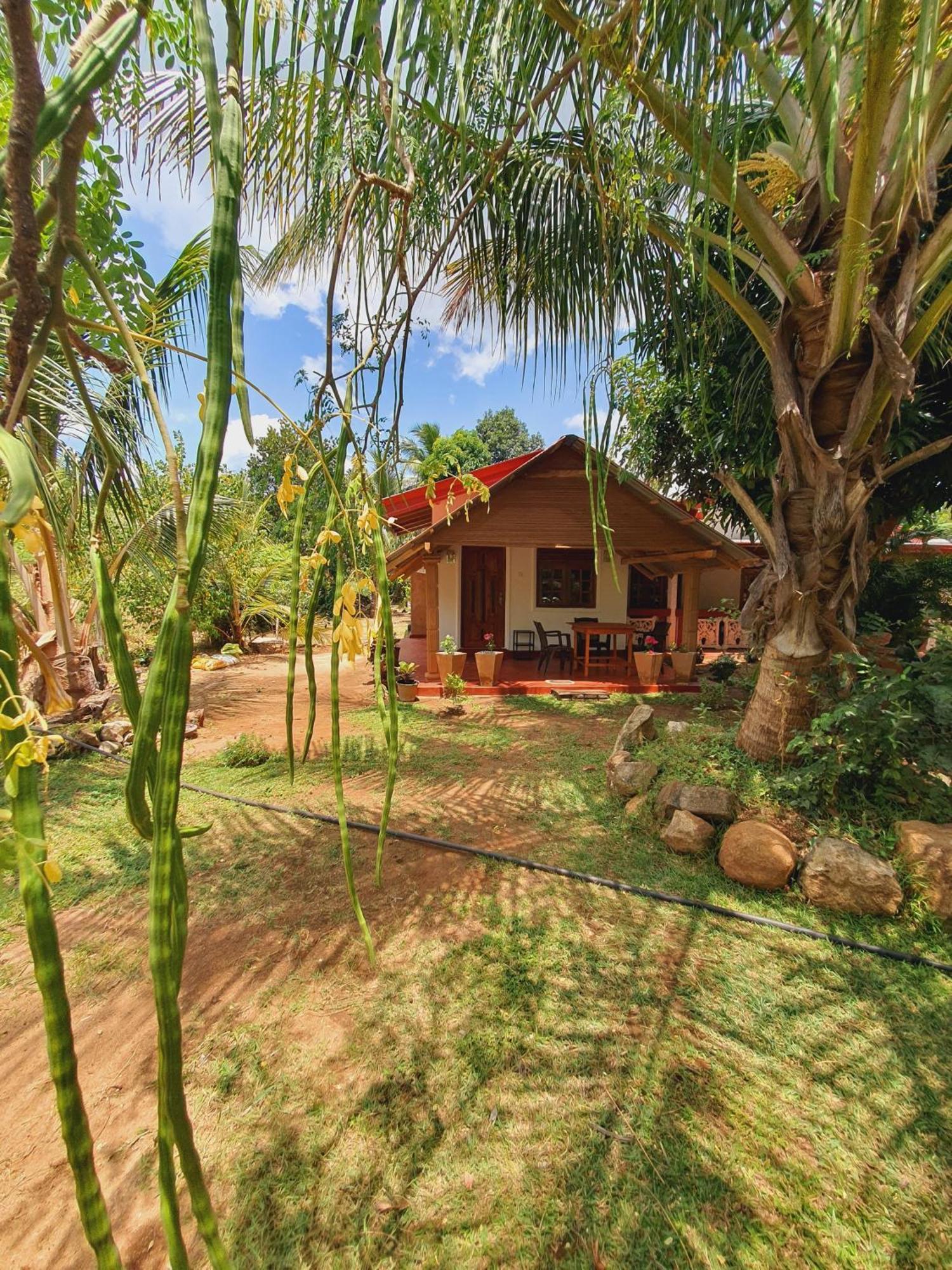 Jungle Eco Lodge & Safari Sigiriya Buitenkant foto
