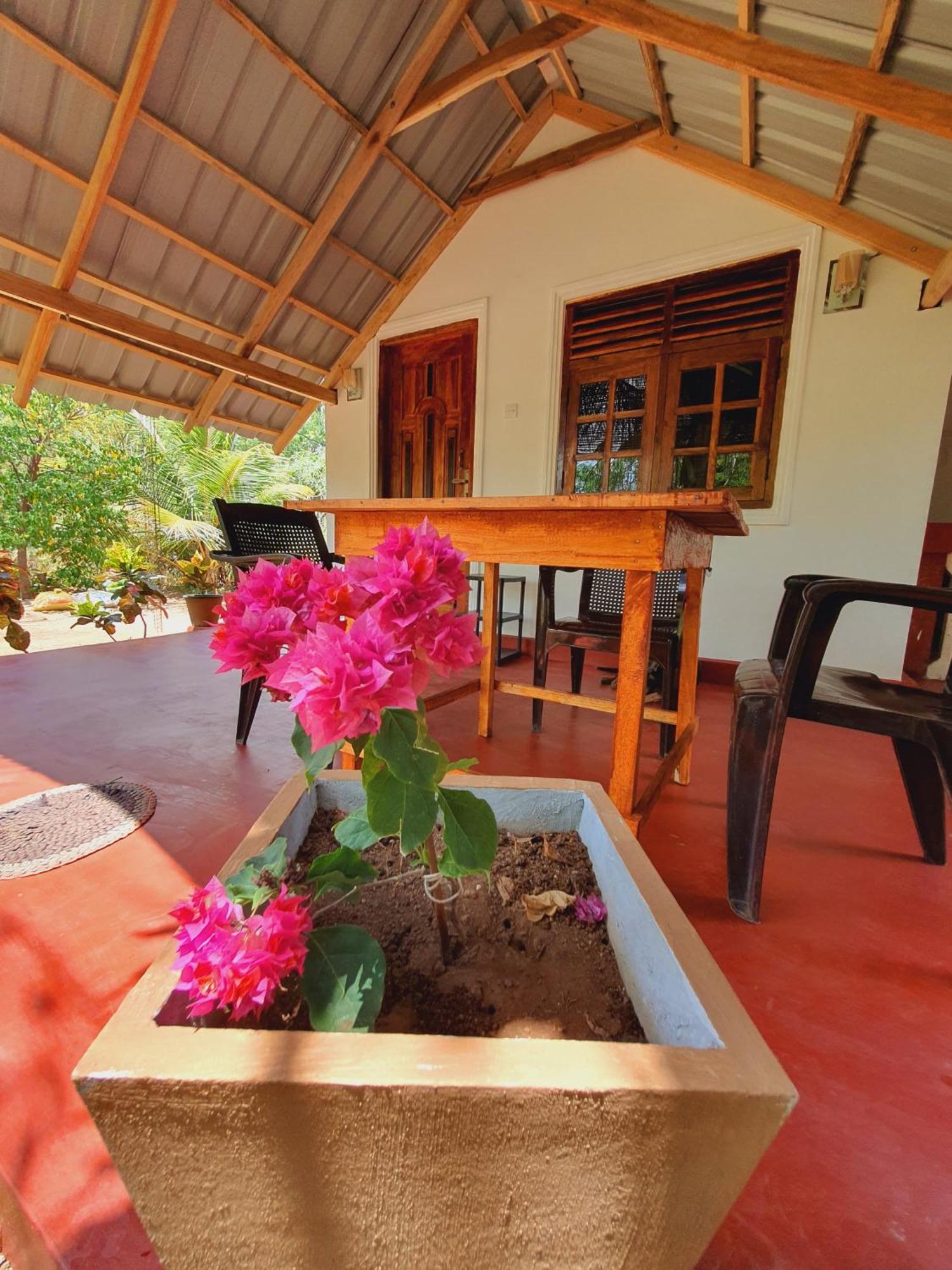 Jungle Eco Lodge & Safari Sigiriya Buitenkant foto