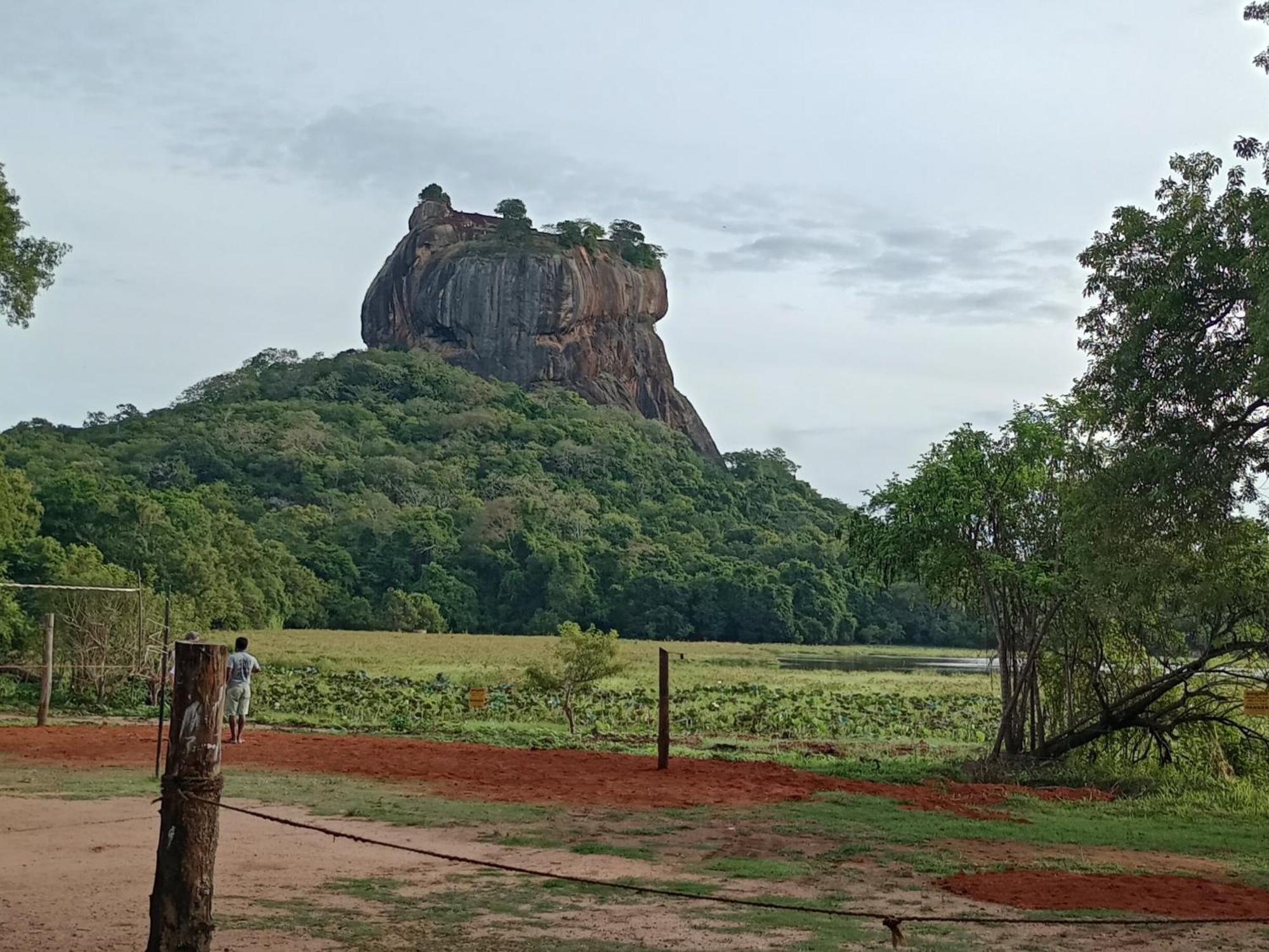 Jungle Eco Lodge & Safari Sigiriya Buitenkant foto