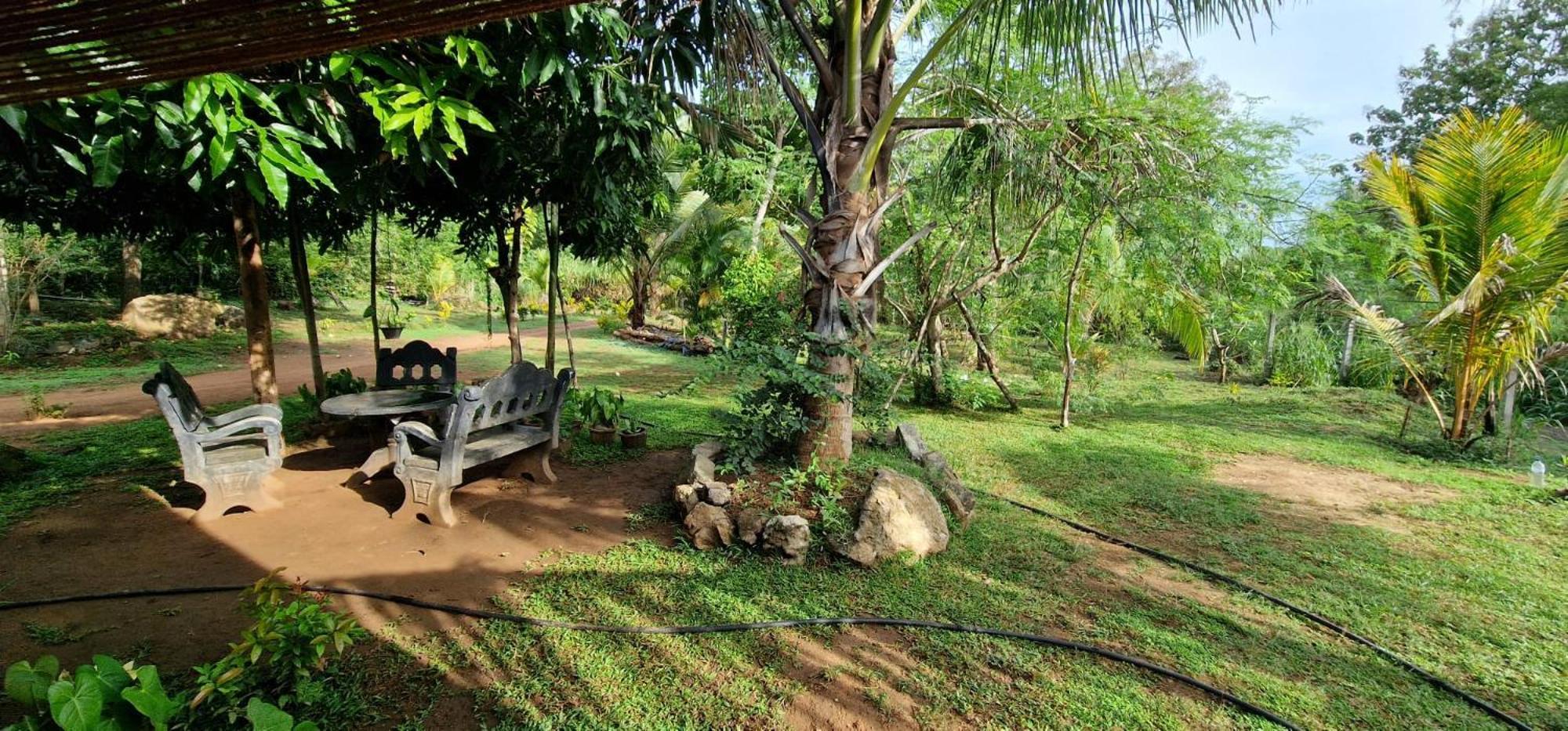 Jungle Eco Lodge & Safari Sigiriya Buitenkant foto