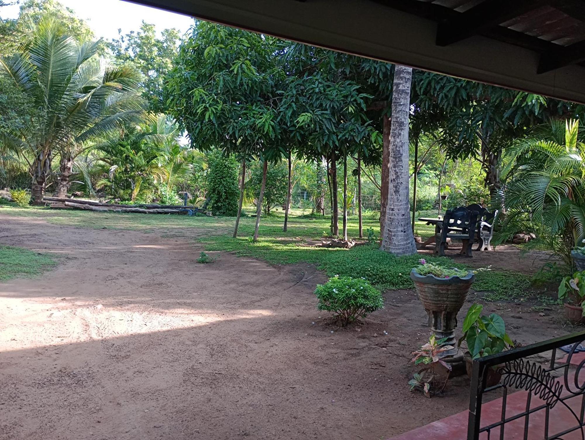 Jungle Eco Lodge & Safari Sigiriya Buitenkant foto