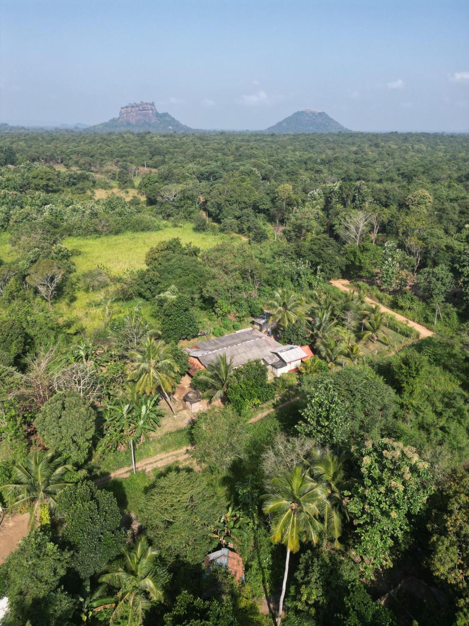 Jungle Eco Lodge & Safari Sigiriya Buitenkant foto