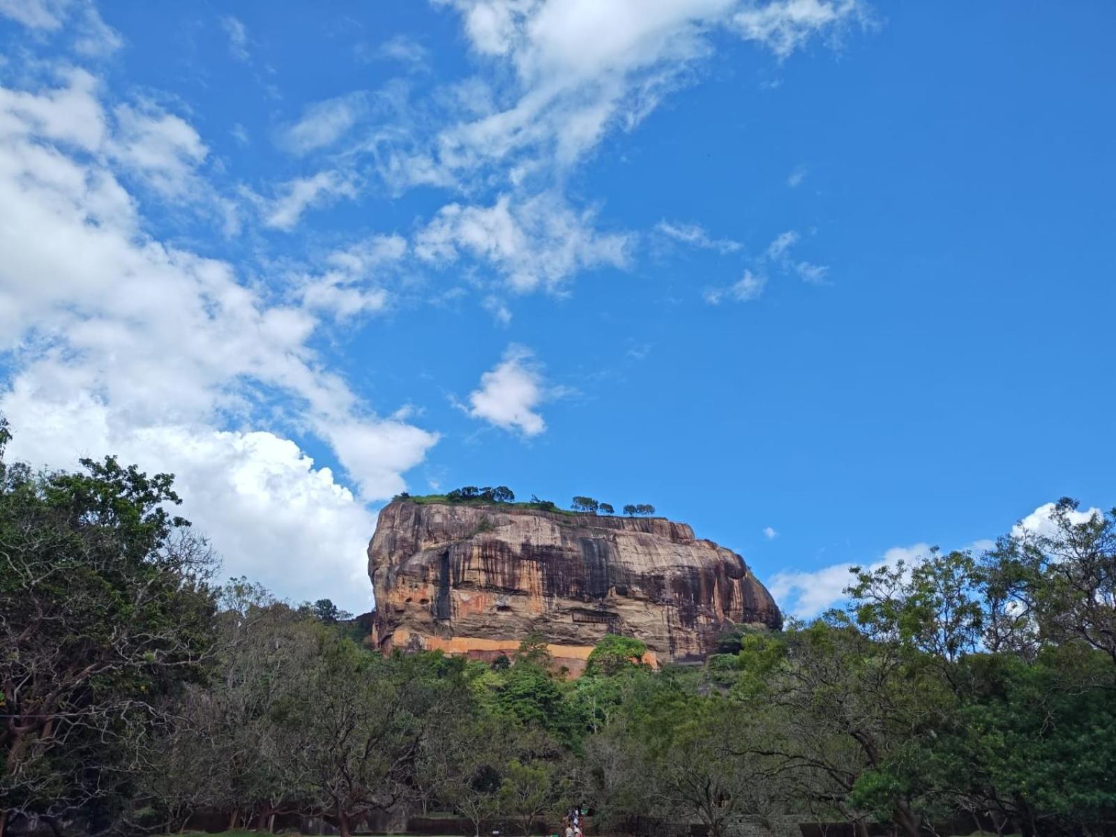 Jungle Eco Lodge & Safari Sigiriya Buitenkant foto